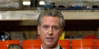 newsom