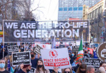 Crowd of protesters holding signs at a pro-life demonstration