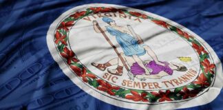Virginia state flag with a blue background and money texture