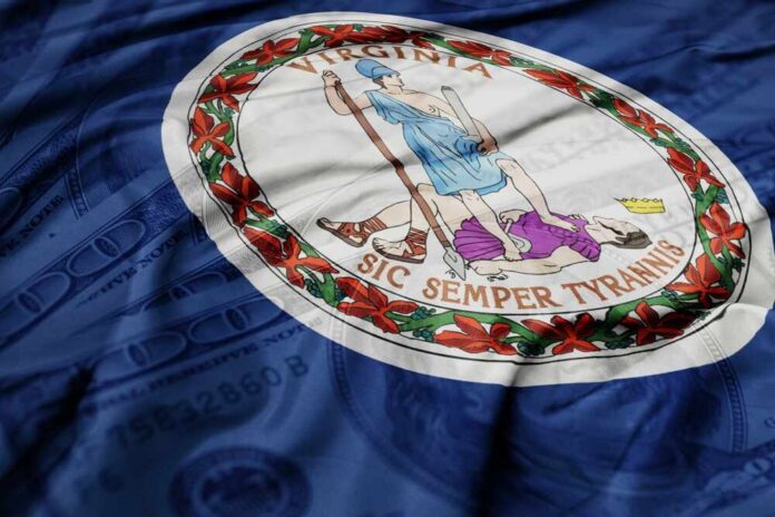 Virginia state flag with a blue background and money texture