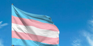 Transgender pride flag waving against a blue sky