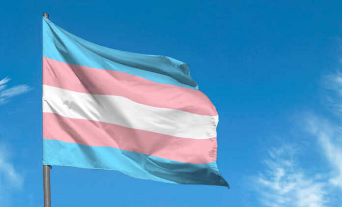 Transgender pride flag waving against a blue sky