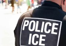 Outrageous Proposal: Jail ICE to Save California? Close-up of a police officer's back with a 'POLICE ICE' badge