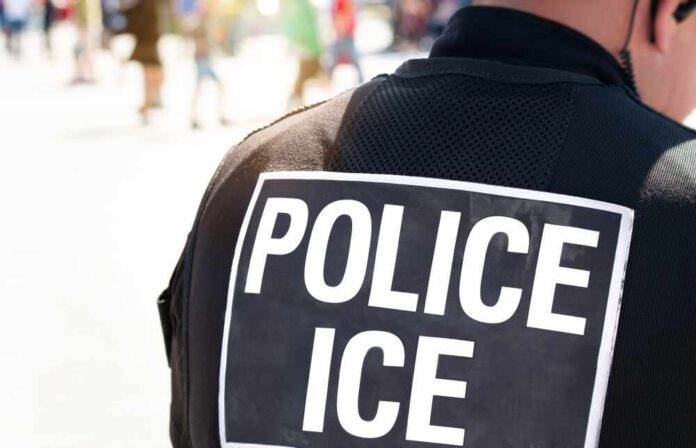 Ice,Police,Agent,-,Officer,Of,Immigration,And,Customs,Enforcement. Close-up of a police officer's back with a 'POLICE ICE' badge