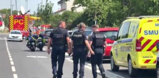 Eleven people killed in plane crash in northeastern France