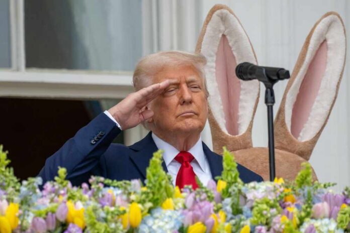 Washington,Dc,,United,States,,April,21,2025,,President,Donald,Trump A man in a suit saluting in front of a floral display during an Easter event