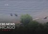 Holiday Boat Trip Ends In Tragedy