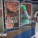 'Canary in the coal mine': Doctor gives stark warning on what rise in measles cases means