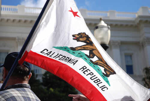 Sacramento,,California,,Usa,-,February,26,,2011:,Labor,Union,Supporter California state flag being held up at an outdoor event