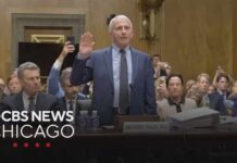 Contempt Vote Follows Fauci Silence LIVE: Senate committee votes to hold Fauci in contempt of Congress