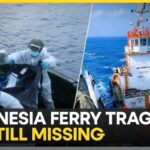 Indonesia Ferry Disaster: More Than 100 People Rescued So Far | WION News