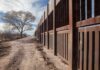 Rusty metal border fence along a dirt road with a lone tree