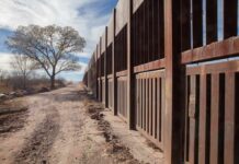 Rusty metal border fence along a dirt road with a lone tree