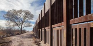 Rusty metal border fence along a dirt road with a lone tree