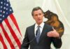 Gavin Newsom speaks at a podium with U.S. and California flags behind him