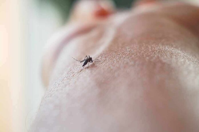 shutterstock_2552748573 Mosquito on human skin