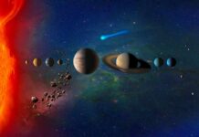 Beloved Star Trek Star Gone Solar system illustration with planets and asteroid belt