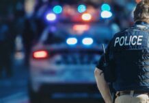 police officer in vest near patrol car with flashing lights