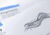 Citizenship Alarm Halts California Counting Official election mail envelopes with county label