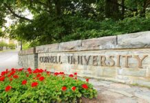 Cornell Case Takes Dramatic New Turn Cornell University stone entrance sign with red flowers
