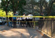 Police officers gather behind yellow tape on a tree-lined sidewalk