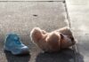 Teddy bear and single blue sneaker on a sidewalk