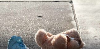 Teddy bear and single blue sneaker on a sidewalk